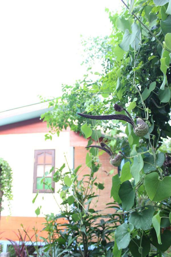 Hotel Pai Modern House Zewnętrze zdjęcie